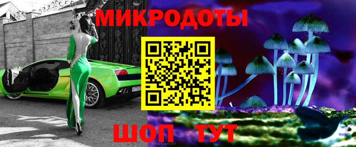 Галлюциногенные грибы мицелий  Вход с VPN  Галлюциногенные грибы прущие грибы  Узловая 