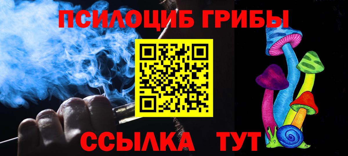Псилоцибиновые грибы Cubensis Узловая