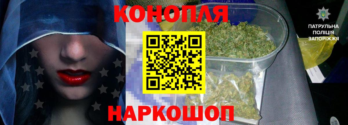 Канабис White Widow  Канабис семена  Узловая  Канабис сатива  Вход с VPN 